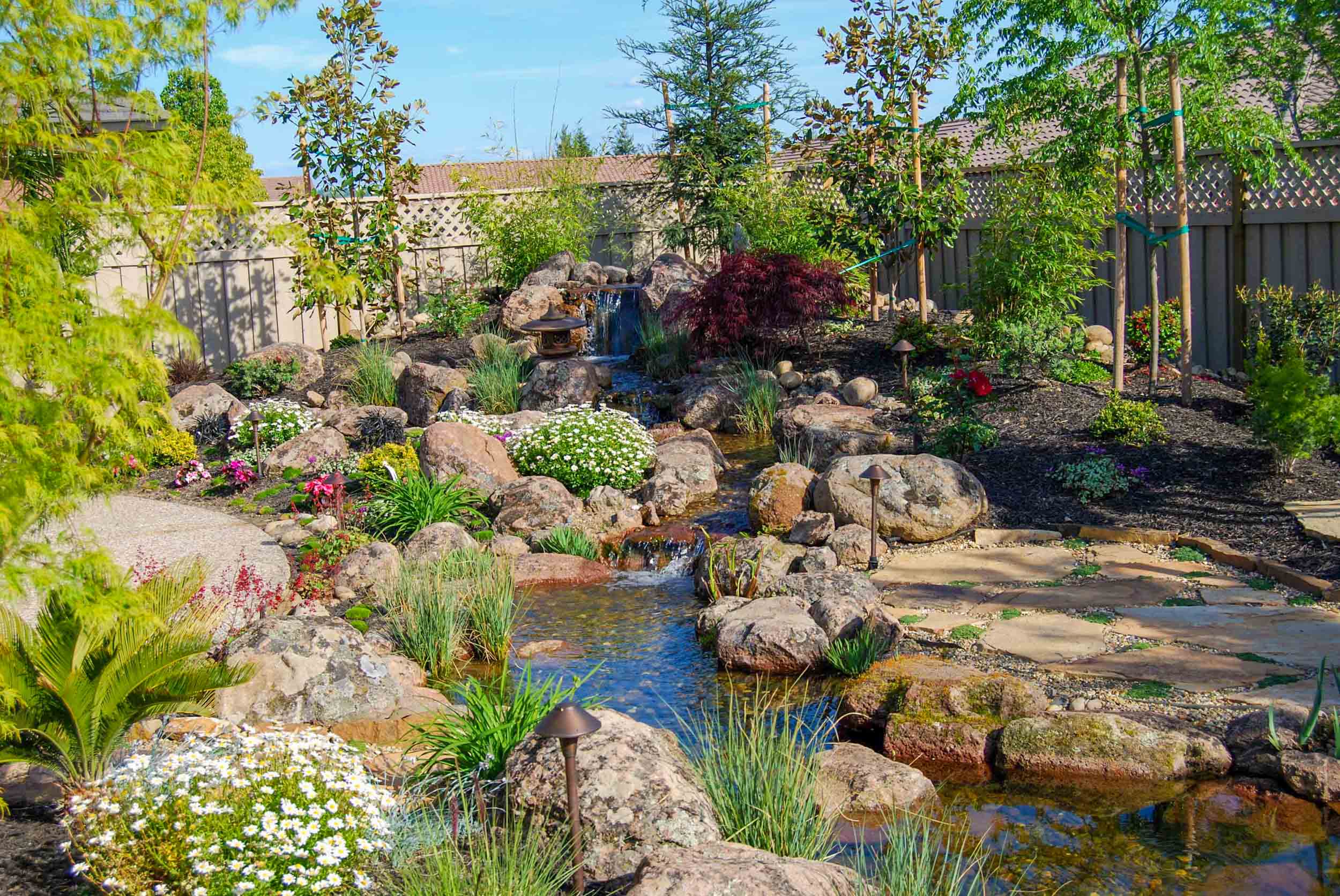 Koi Pond & Waterfall Backyard – Executive Care Inc